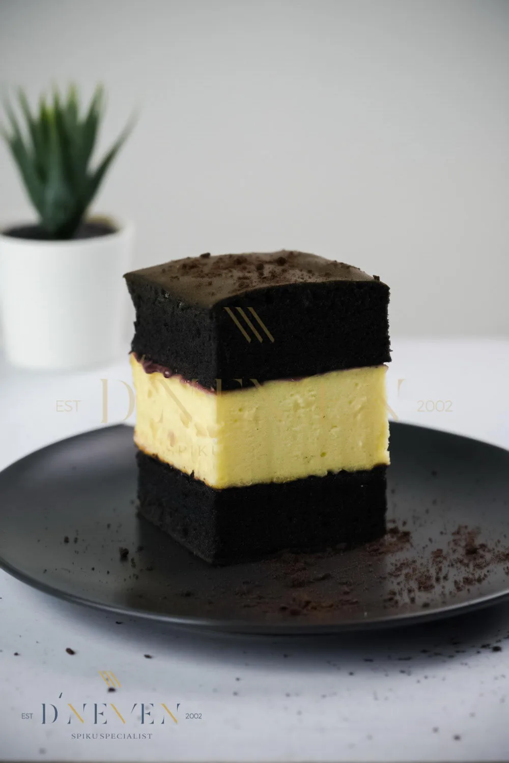 Spiku Charcoal Cheese-029